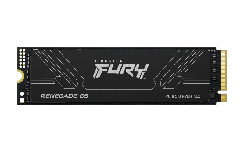 SSD intern Kingston FURY Renegade G5, 1 TB, PCI Express